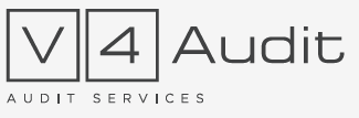 audit logo